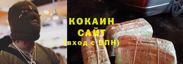 твердый Гусев