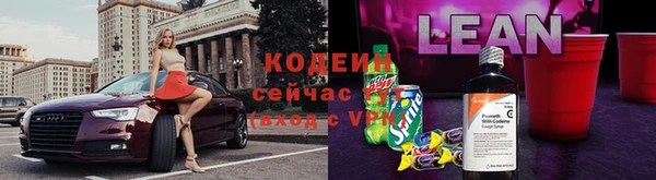 твердый Гусев
