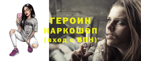 твердый Гусев