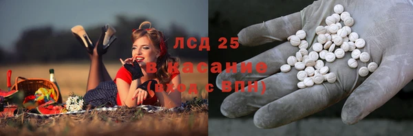 apvp Гусь-Хрустальный