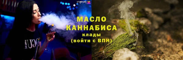 твердый Гусев