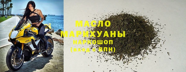 твердый Гусев