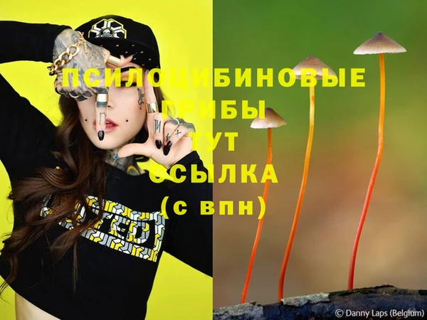 твердый Гусев