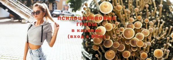 твердый Гусев