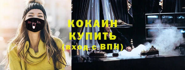 твердый Гусев